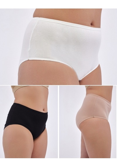Alya Underwear Kadın Extra Battal Külot - 5 Adet Beyaz 8xl, 9xl, 10xl Çok Renkli
