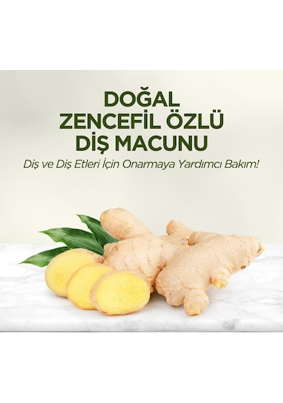 Eyüp Sabri Tuncer Doğal Zencefil Özlü Diş Macunu 90 ML