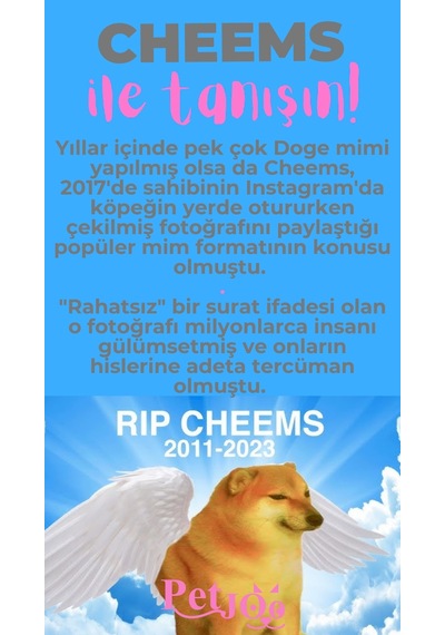 Petjoo 18.Cheems Pembe-Gri Qr'lı Köpek Künyesi