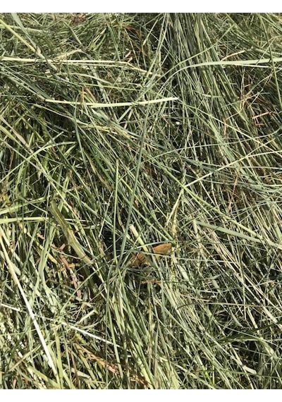 Çayır Otu Taze Yeşil ve Kuru Kemirgen Otu 2 KG