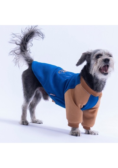 Saks Mavi Boston Pawstar Sweat Köpek Sweatshirt Köpek Sweat Köpek Kıyafeti Kedi Kıyafeti Saks Mavi Boston Pawstar Sweat Köpek Sweatshirt Köpek Sweat Köpek Kıyafeti Kedi Kıyafeti