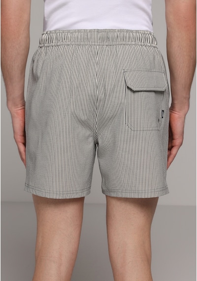 Colin's Colins Slim Fit Çizgili Erkek Antrasit Deniz Şortu Cl1079394 Q1.v1 Ant
