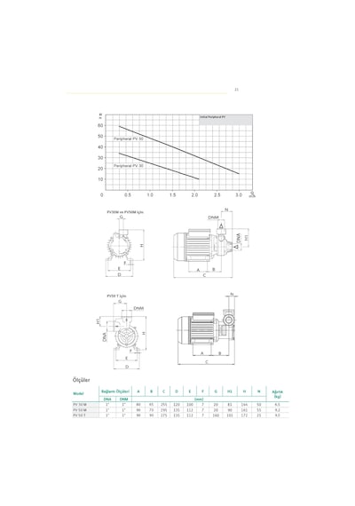 Wilo Initial Peripheral Pv 30 M Tek Kademeli Periferik Pompa