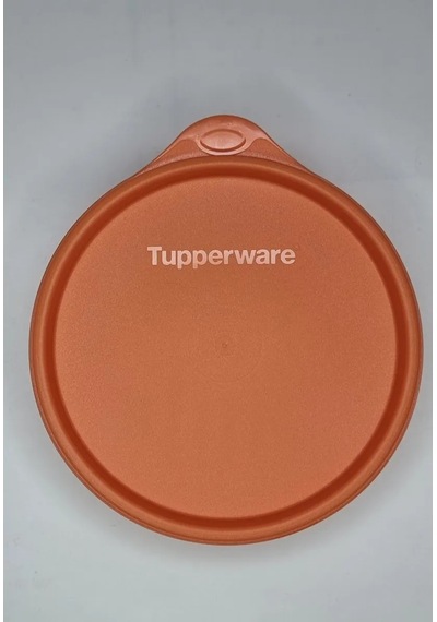 Tupperware Hıtt-parad Kapaklı 300 Ml Sızdırmaz Tupperware Saklama Kabı 304316130 Turuncu