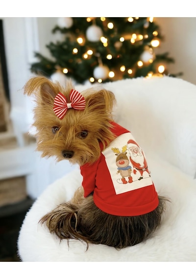 Santa And Friend Rudolph Köpek Tişörtü Yılbaşı Noel Christmas Köpek Elbisesi