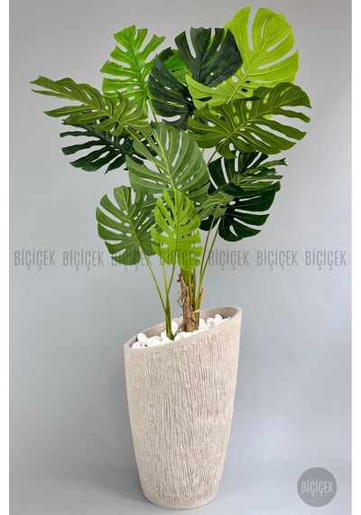 Yapay Monstera Ağacı Deve Tabani 190 Cm Krem Datça Saksıda