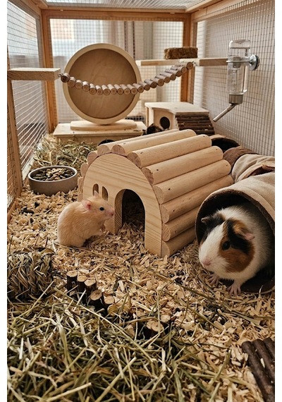 Hamster Evi Doğal Ahşap El Yapımı Hamster Yuvası