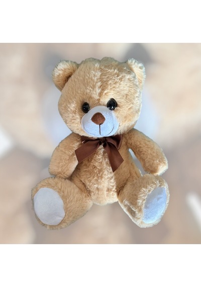 Peluş Ayı Çok Renkli