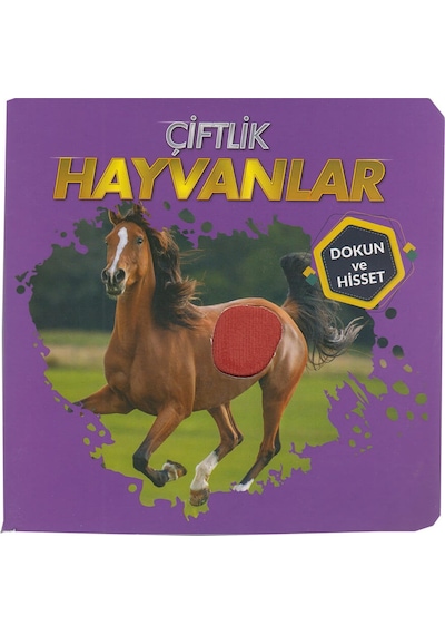 Dokun ve Hisset - Çiftlik Hayvanları
