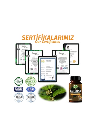 Gökçek Şifa 1000 MG Gurmar (Gymnema Capsule) 60 Kapsül