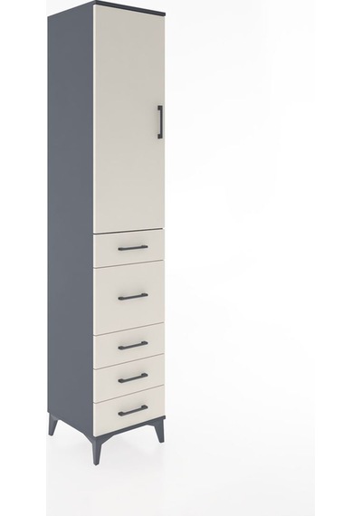 Hyperion Dolap 2 Raflı 5 Çekmeceli Tek Askılı 44x44x221 Antra... Antrasit