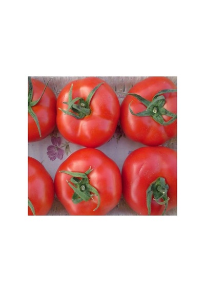 Tane Salkım Domates Tohumu - 2274-3 Gram