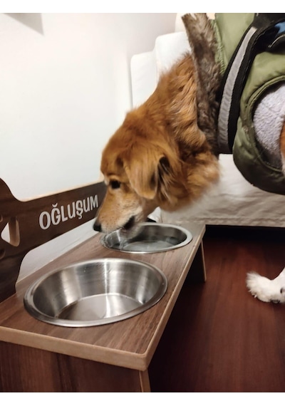 Realwood Ahşap Çelik Kaseli Özel İsim Baskılı Büyük Orta Irk Köpek Mama Su Kabı 1 L