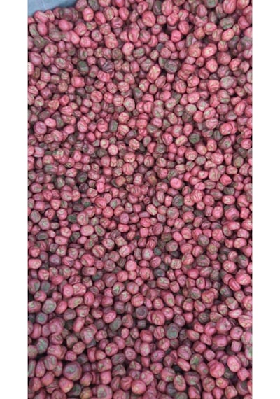 Utrillo Bezelye Tohumu Tohum 1 Kg