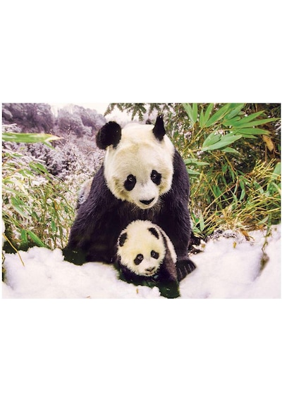 Panda Puzzle 100 Parça