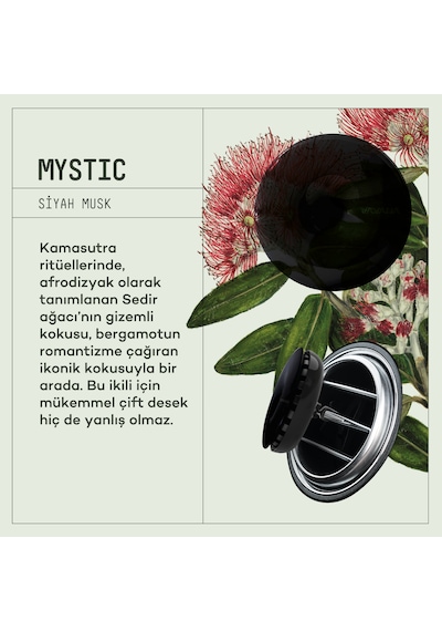 Vavana Araba Klima Kokusu, Spin Oto Kokusu Hopeful & Mystic Set