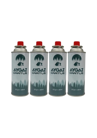 Aygaz 4'Lü Kartuş 227 G Çok Renkli