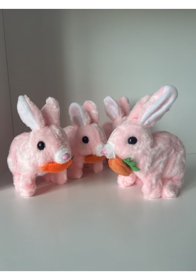Sesli Hareketli Zıplayan Işıklı Peluş Tavşan Oyuncak Pembe Havuçlu, Elektrikli Çocuk Hediyesi 3+ Yaş Diğer