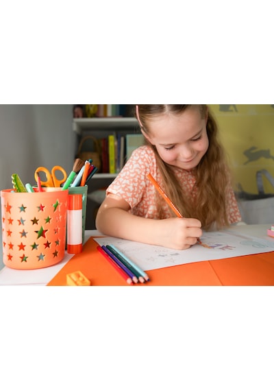 Bic Kids Tropicolors Kuru Boya  Kalemi 24 Renk