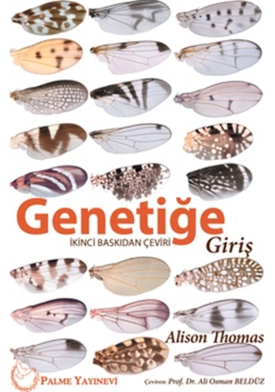 Genetiğe Giriş - Palme