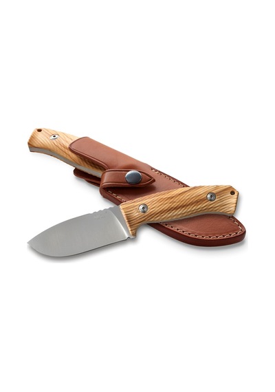 Lionsteel M3 Zeytin Saplı Kamp Bıçak Çok Renkli