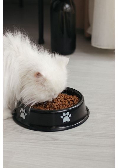 Emaye Kedi Köpek Mama Ve Su Kabı Pati Desen Flame