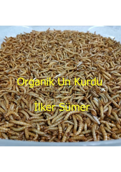 Un Kurdu 150 Gram
