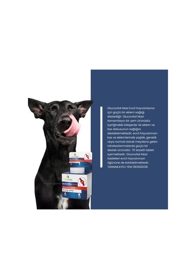 Glucovital Maxi 75 Tablet Köpekler Için Kas Ve Eklem Desteği