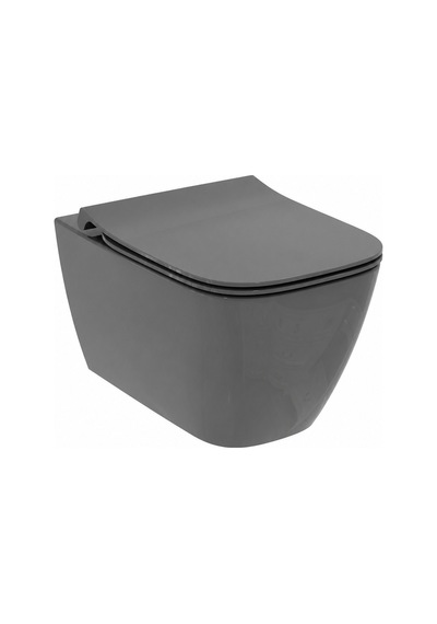 Asma Klozet - Kapak Dahil T461458 Gri