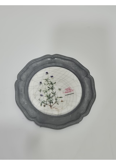 Vintage Zınn Çerçeveli Dekoratif 3 Renkli Menekşetemalı Duvar Tabağı 10cm 008
