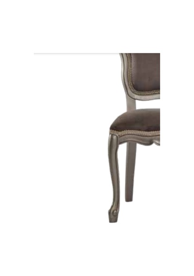 Bengimobilya Sandalye Zus021 Nakış Model Gri Renk Baby Face Kumaş Kayın Çizgi