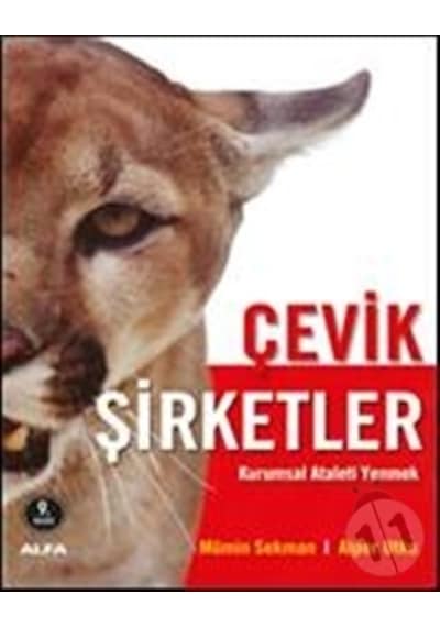 Alfa Yayınları Çevik Şirketler