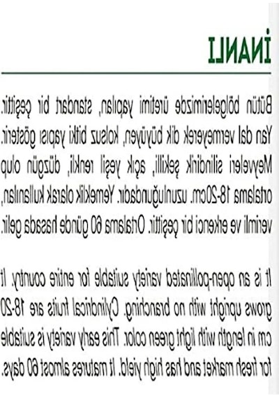 20 Adet Yerli Kabak Tohumu, Verimli Ve Sağlıklı Yetiştirme İçin