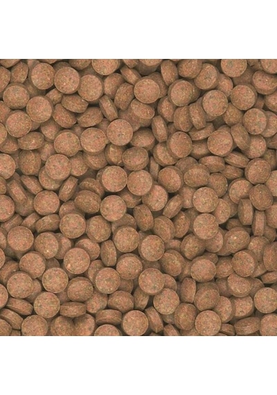 Tropical Süpervit B Tablets Tablet Balık Yemi 250 G
