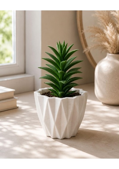 Lexroo Geometrik Desenli Beyaz Saksı, Masaüstü, Modern Minimalist Stil, Sukulent Ve Kaktüs Standart