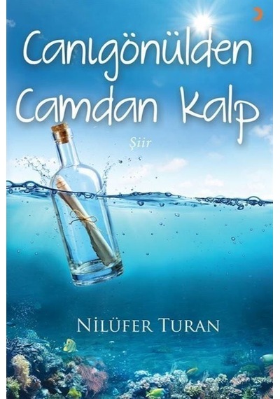 Canıgönülden Camdan Kalp / Nilüfer Turan