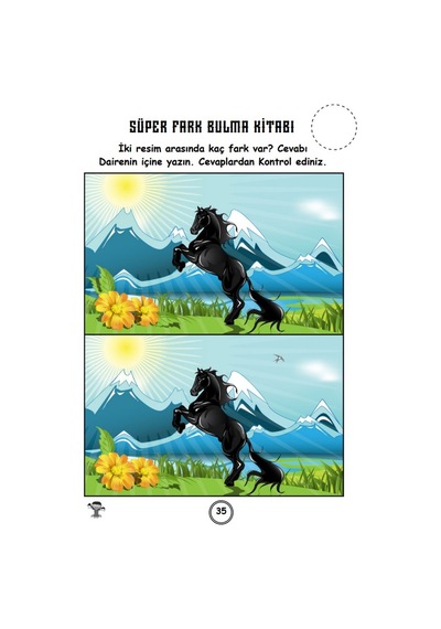 Herkes İçin Süper Fark Bulma Kitabı