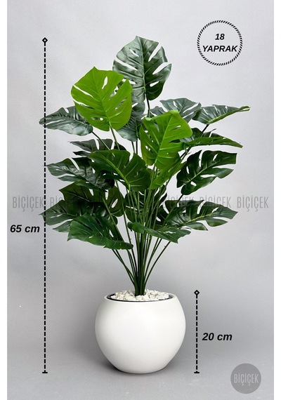 Biçiçek Yapay Monstera Deve Tabani Bi̇tki̇si̇ 65 Cm Beyaz Küre Saksıda
