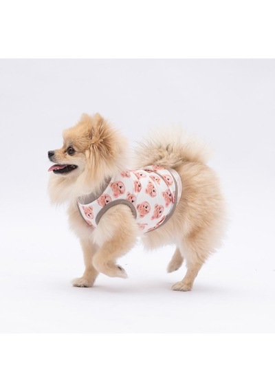 Cute Bears Kedi Köpek Tişörtü - Kedi Köpek Kıyafeti