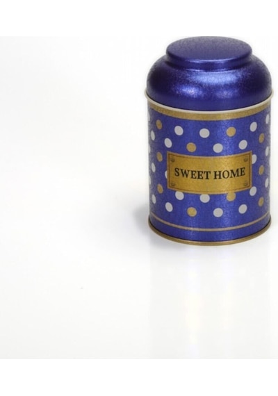 Ef080-69 Point Blue Desenli Baharatlık 0,6 Lt Çok Renkli