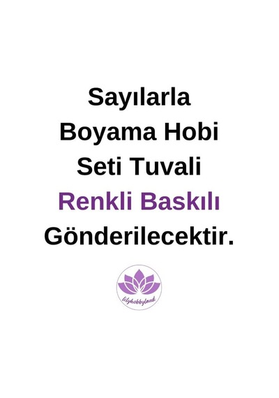 Renkli Baskılı Sayılarla Boyama Hobi Seti Çerçeveli 50x65 Cm: Asil Atlar