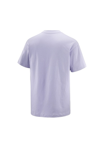 Salomon Salomon Chest Logo Relaxed Erkek Tişört 9113 Çok Renkli