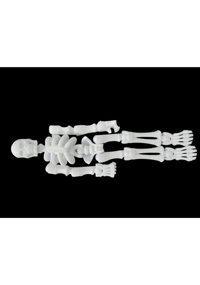 Sök+tak İnsan İskeleti