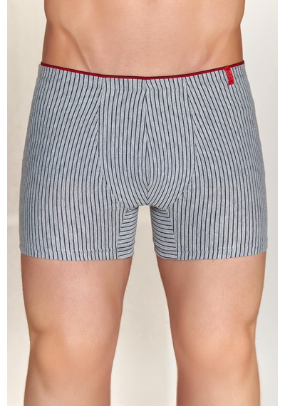4433 Erkek Boxer Gri