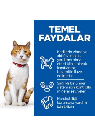 's Sp Somon Kısırlaştırılmış Yetişkin Kedi Maması 8+2 Kg