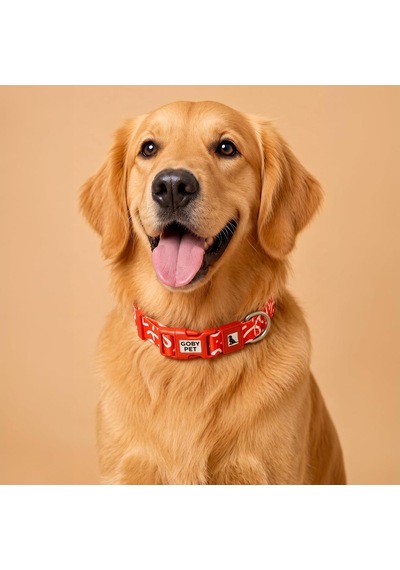 Gobypet Airmesh Köpek Gezdirme Boyun Tasma Seti Xs - Küçük Irk Köpek Ve Kedi Gezdirme Tasması Nefes Alabilen File Çok Renkli