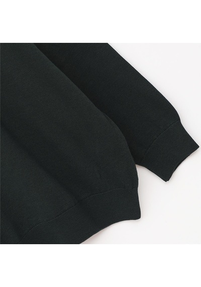 Dio Rise Erkek Uzun Kol İnce Polo Yaka Sweatshirt - B180856 - Nefti Nefti