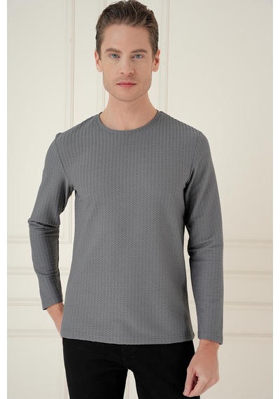 Efor Ts 891 Slim Fit Gri Spor T-shirt Gri