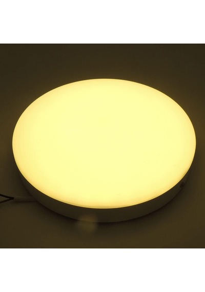 Yuvarlak Dış Mekan Sıva Üstü 20w Led Panel Armatür Trafolu Gün Işığı Işık
