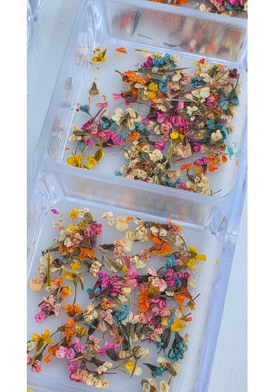 12li İnce Küçük Boy Kuru Çiçek Tırnak Süsleme Nail Art Çiçek Wn-519
